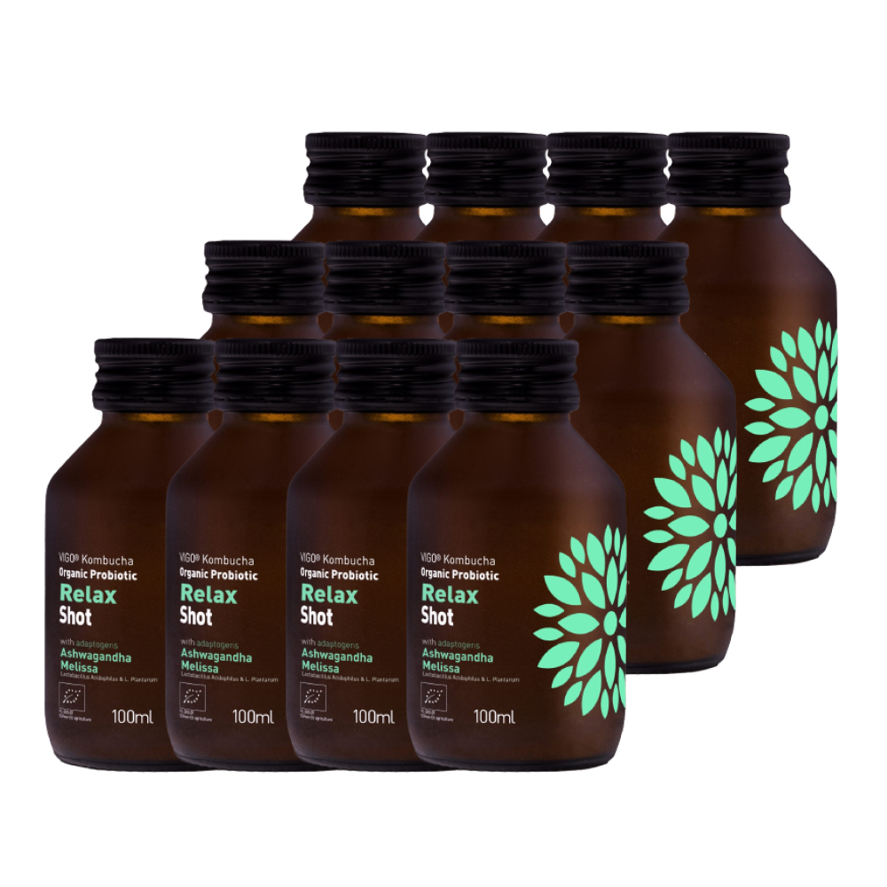 VIGO BIO Relax Shot (100ml) 12-pack